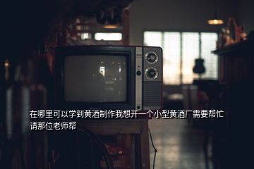 在哪里可以學(xué)到黃酒制作我想開一個(gè)小型黃酒廠需要幫忙請(qǐng)那位老師幫