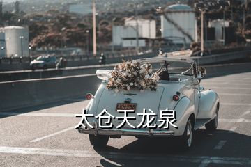 太倉(cāng)天龍泉