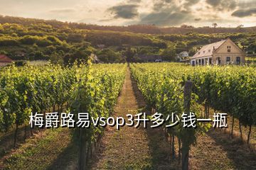 梅爵路易vsop3升多少錢一瓶