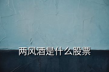 兩風(fēng)酒是什么股票