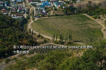 有人喝過GOLDEN CASTLE RESERVE SHIRAZ這款酒嗎大概價(jià)格多