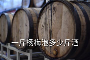 一斤楊梅泡多少斤酒