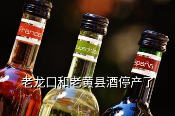 老龍口和老黃縣酒停產(chǎn)了