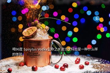 喝96度 Spirytus Vodka生命之水波蘭伏特加是一種什么樣的體驗