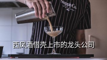 西鳳酒借殼上市的龍頭公司