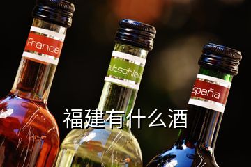 福建有什么酒