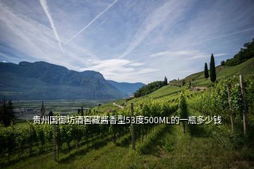 貴州國(guó)御坊酒窖藏醬香型53度500ML的一瓶多少錢