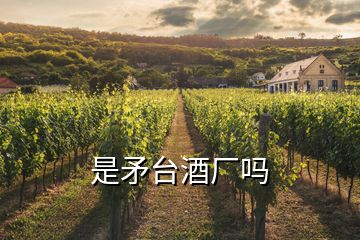 是矛臺(tái)酒廠嗎