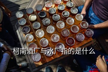 柯南酒廠與水廠指的是什么