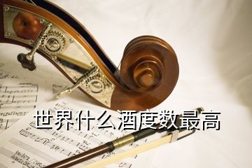 世界什么酒度數(shù)最高