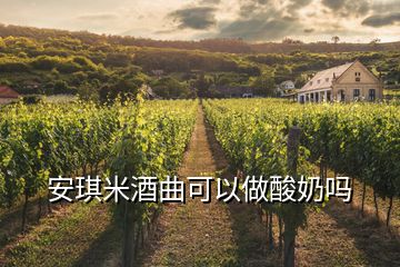 安琪米酒曲可以做酸奶嗎