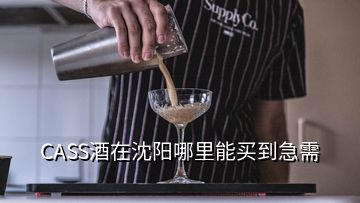 CASS酒在沈陽(yáng)哪里能買(mǎi)到急需