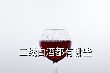 二線白酒都有哪些