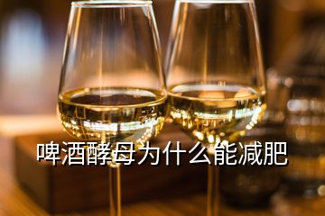 啤酒酵母為什么能減肥