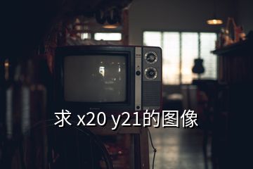 求 x20 y21的圖像