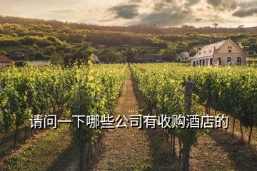 請問一下哪些公司有收購酒店的