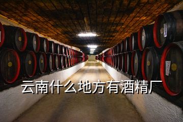 云南什么地方有酒精廠