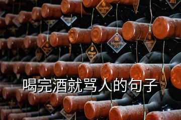 喝完酒就罵人的句子