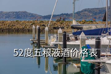 52度五糧液酒價格表