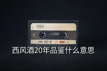 西風(fēng)酒20年品鑒什么意思