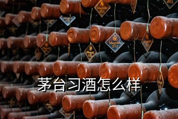 茅臺(tái)習(xí)酒怎么樣