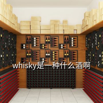 whisky是一種什么酒啊