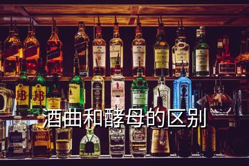 酒曲和酵母的區(qū)別