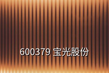 600379 寶光股份