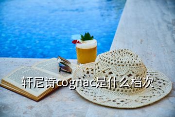 軒尼詩cognac是什么檔次