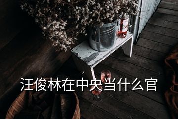 汪俊林在中央當什么官