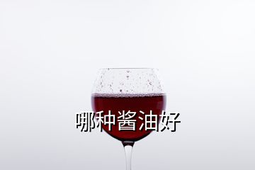 哪種醬油好