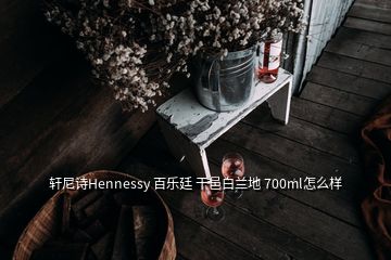 軒尼詩Hennessy 百樂廷 干邑白蘭地 700ml怎么樣