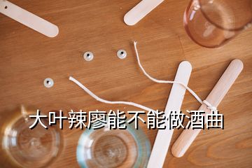 大葉辣廖能不能做酒曲