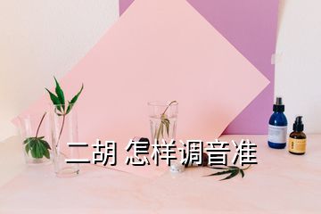 二胡 怎樣調(diào)音準(zhǔn)