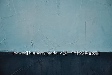 loewe和 burberry prada lv 是一個什么樣檔次呢