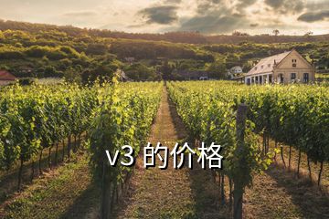 v3 的價(jià)格