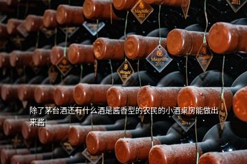 除了茅臺(tái)酒還有什么酒是醬香型的農(nóng)民的小酒桌房能做出來醬