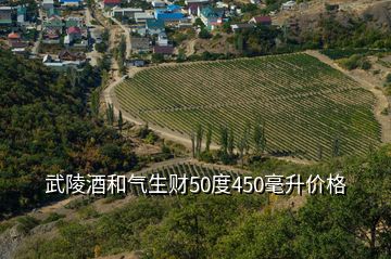 武陵酒和氣生財(cái)50度450毫升價(jià)格