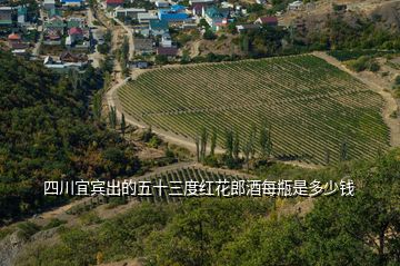 四川宜賓出的五十三度紅花郎酒每瓶是多少錢