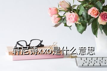 軒尼詩xxo是什么意思