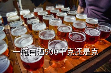 一瓶白酒500千克還是克