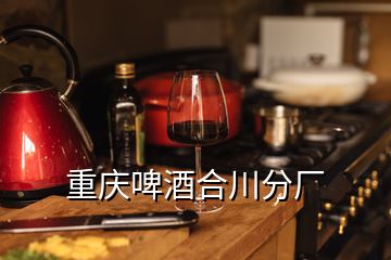 重慶啤酒合川分廠