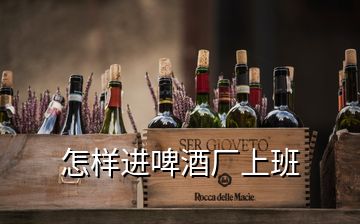 怎樣進啤酒廠上班