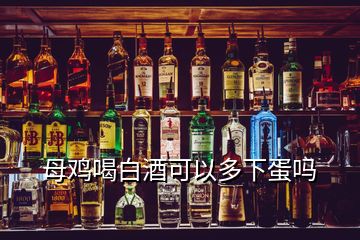 母雞喝白酒可以多下蛋嗎