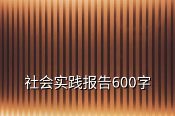 社會實踐報告600字