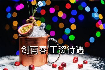 劍南春 工資待遇