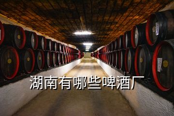 湖南有哪些啤酒廠