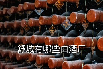 舒城有哪些白酒廠