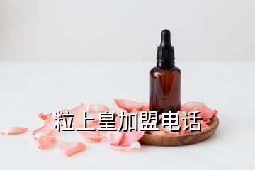 粒上皇加盟電話