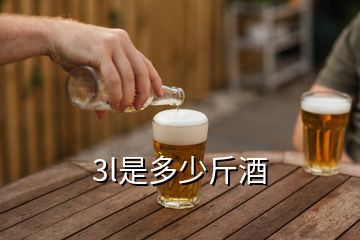 3l是多少斤酒